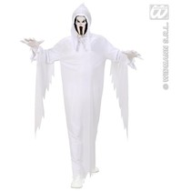 Spook kostuum wit kind 2-delig