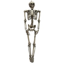 Skelet Horror decoratie