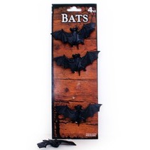 Vleermuis 4 op kaart