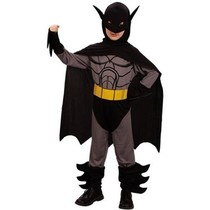 Batman Vleermuis heldenpak