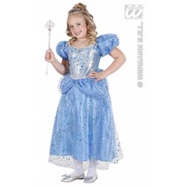 Prinses-Fee blauw kostuum