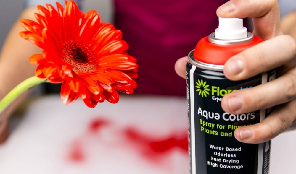 Floralife® Aqua Colors Muntgroen 400ml | 1 stuks