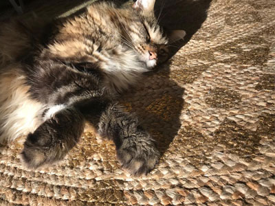 rond goud jute kleed