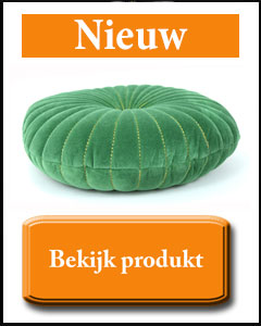 Mos groen oosters kussen van fluweel