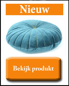 Turquoise fluwelen kussen met gouddraad