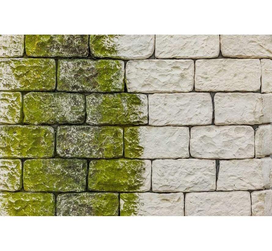 Groene Aanslag Verwijderaar 5ltr