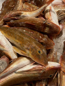 1 kilo ( 4 a 6 stuks )