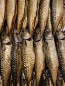 Makreel ( warmgerookt )