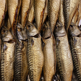 Makreel ( warmgerookt )