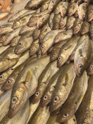 1 kilo ( 4 a 6 stuks )