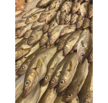 1 kilo ( 4 a 6 stuks )