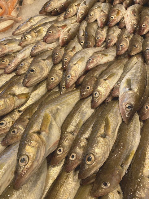 1 kilo ( 4 a 6 stuks )