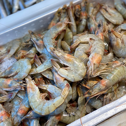 Krustanord garnalen (Ongekookt)