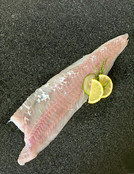 Koolvisfilet