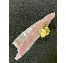 Koolvisfilet