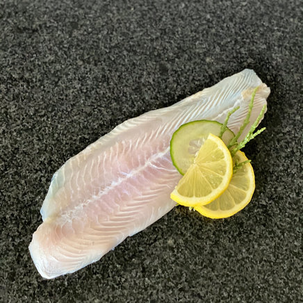 Pangasiusfilet