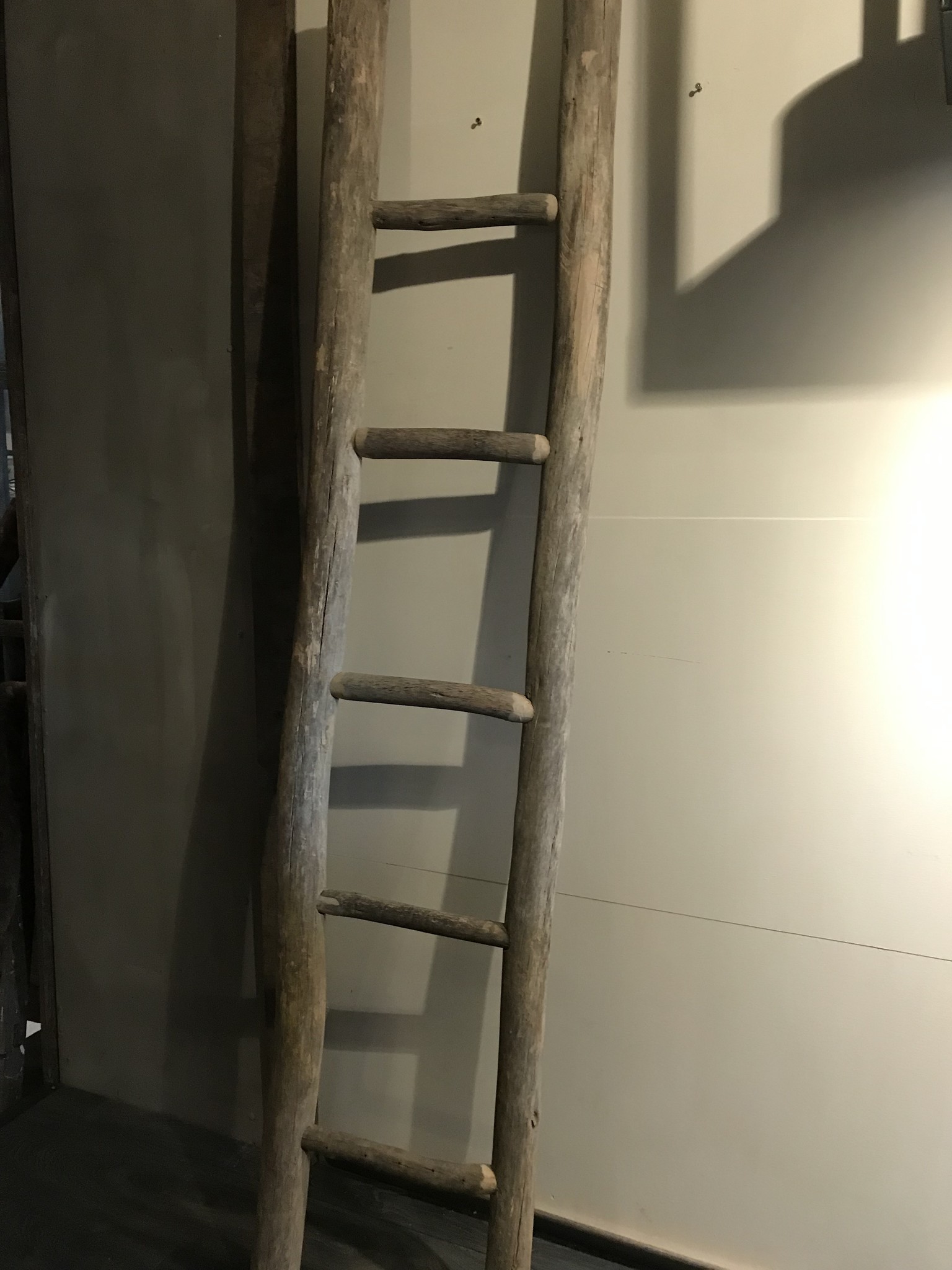 De Appelgaard Houten ladder