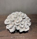De appelgaard Bloem koraal