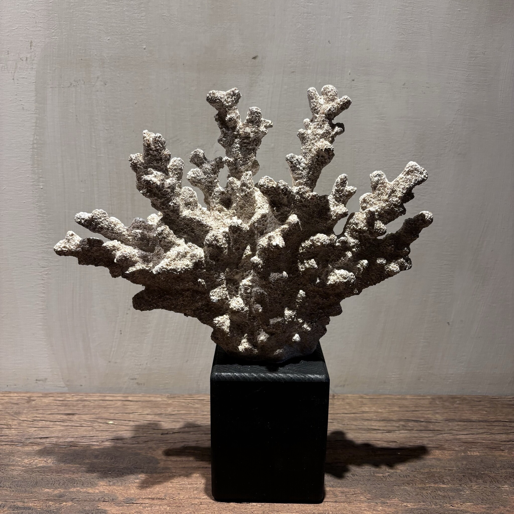 De appelgaard Hand koraal