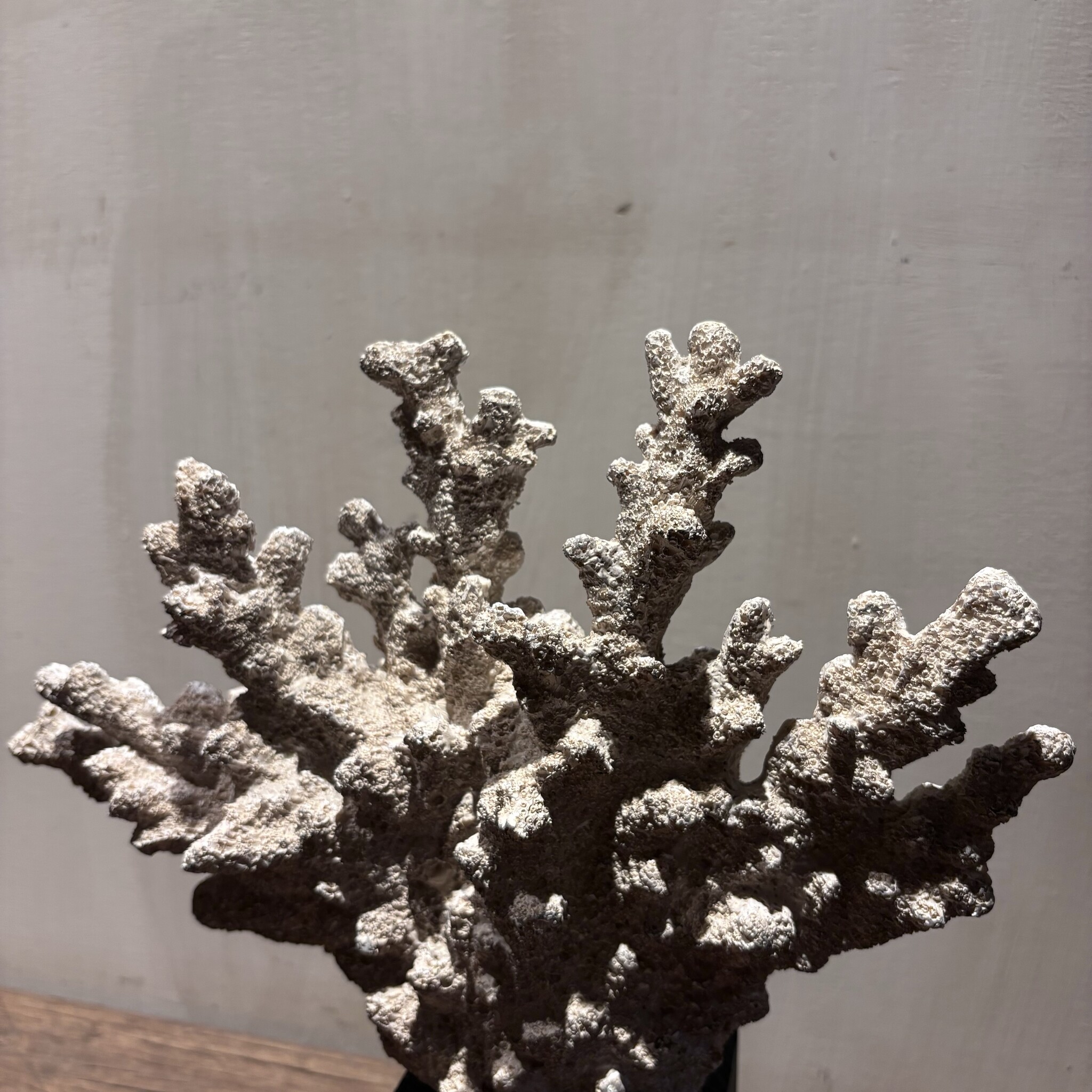 De appelgaard Hand koraal