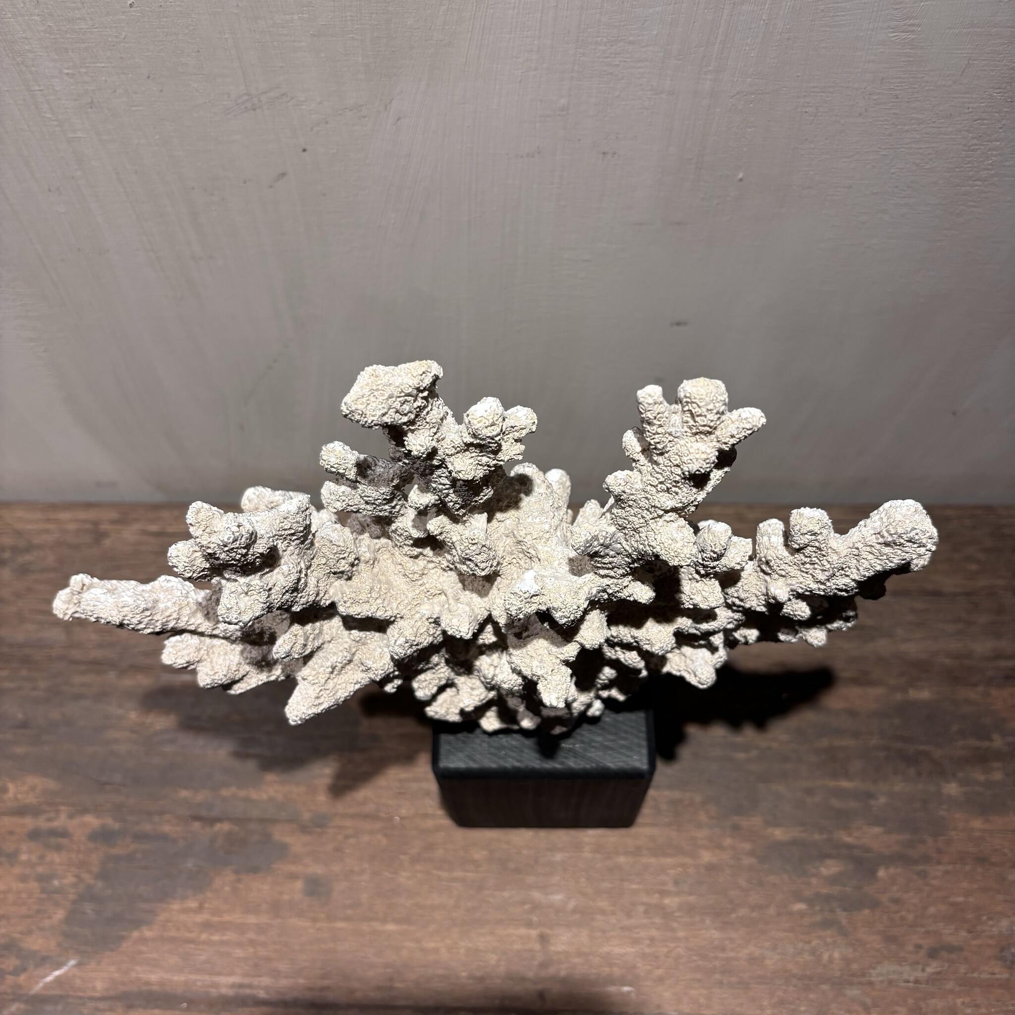 De appelgaard Hand koraal