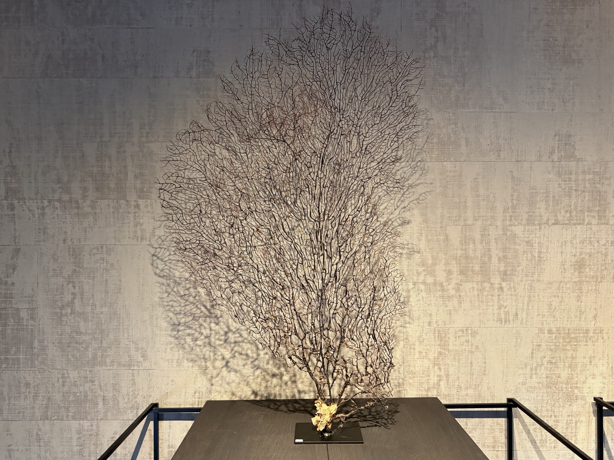 De appelgaard koraal tak