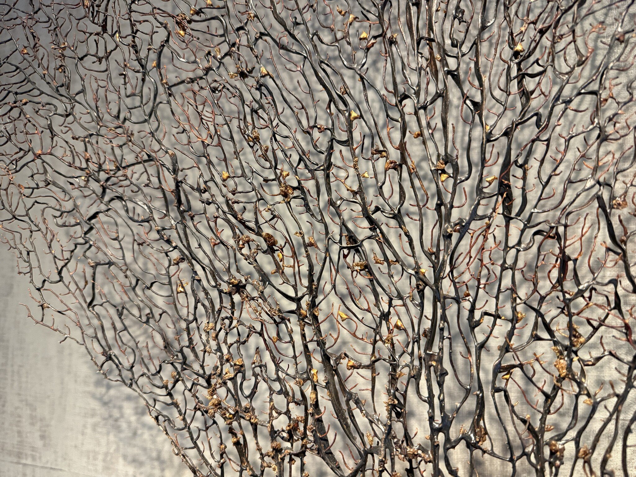 De appelgaard koraal tak