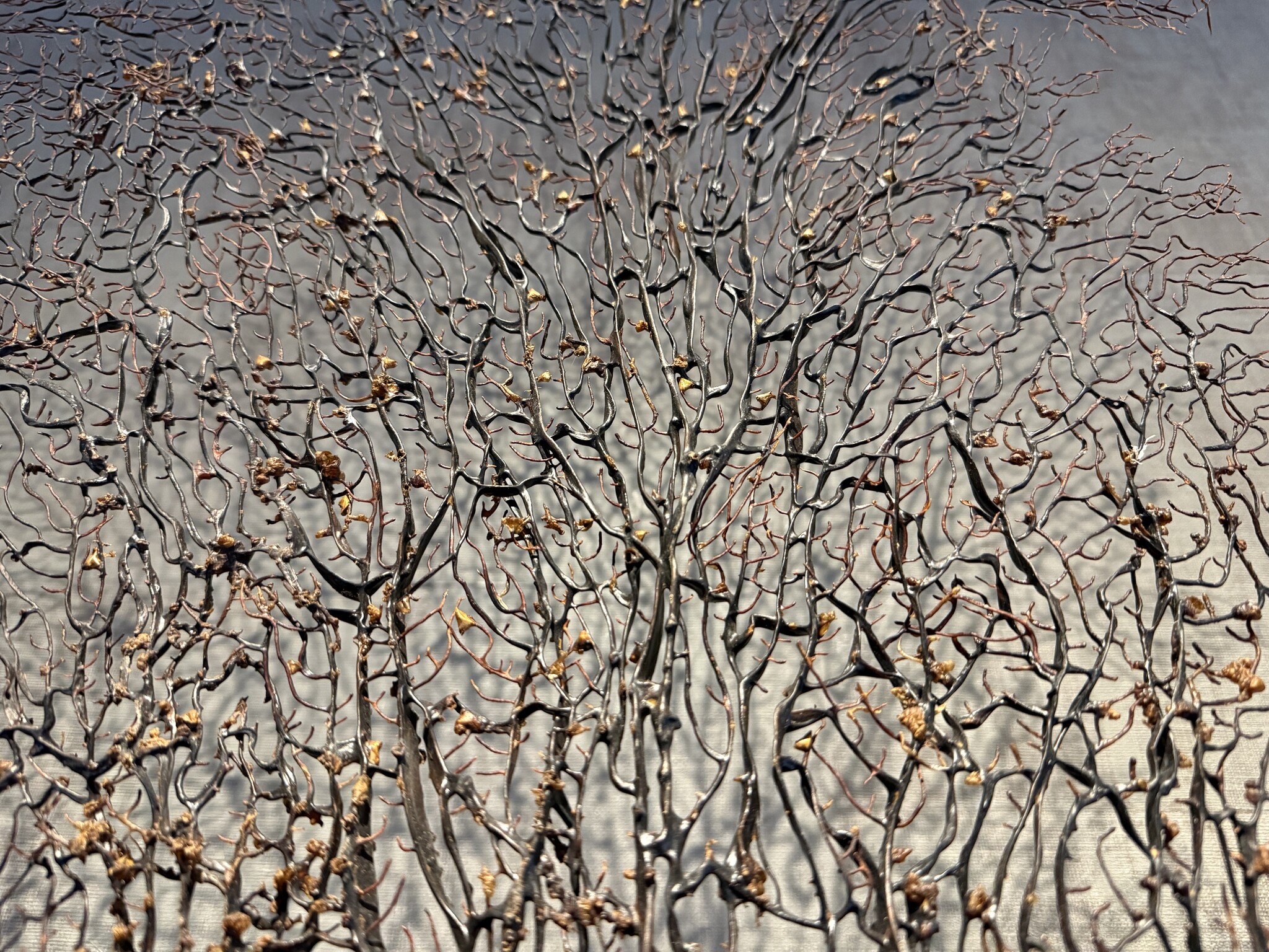 De appelgaard koraal tak