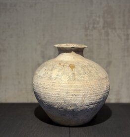 De appelgaard Chinese kruik