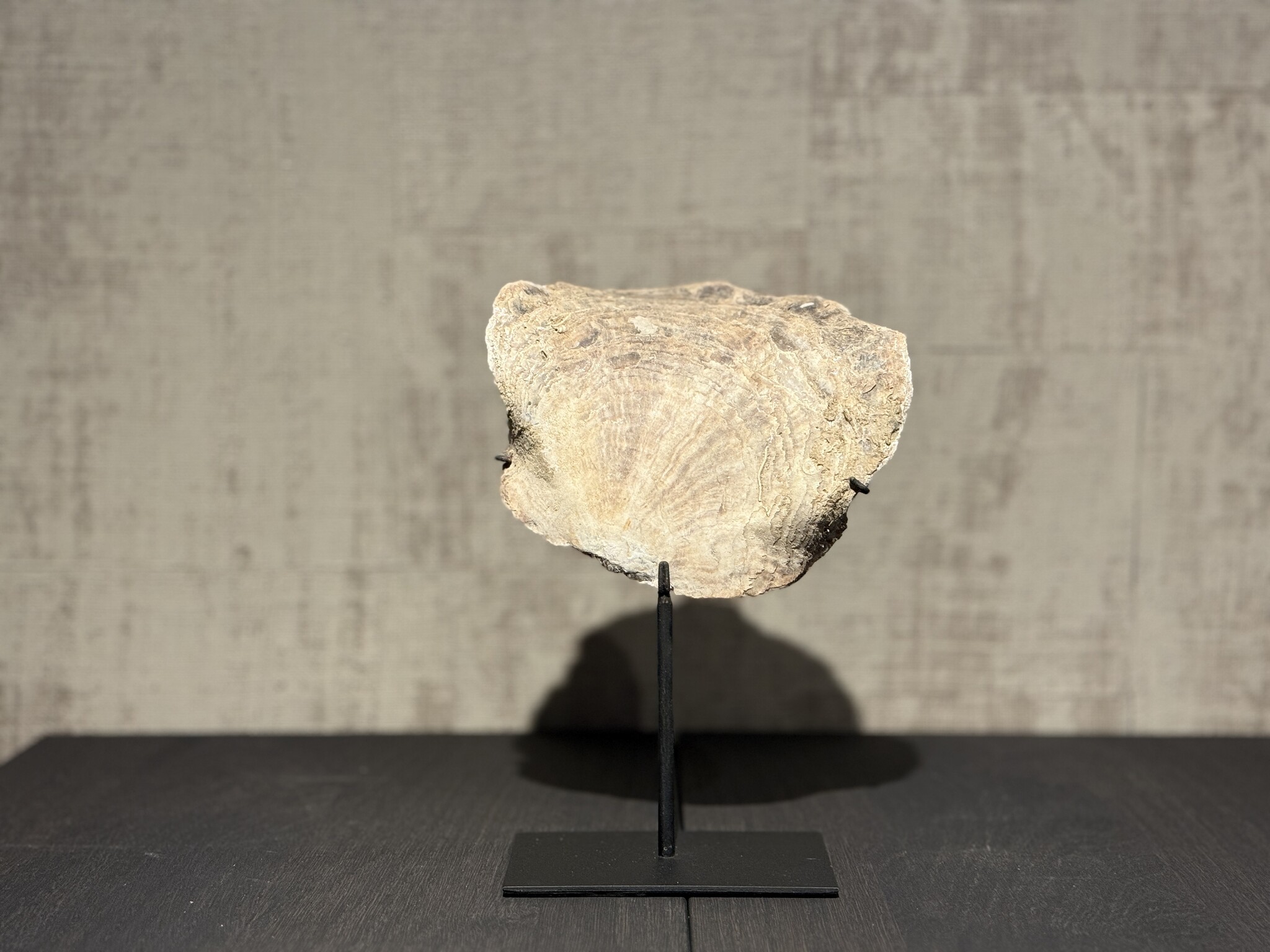 De appelgaard schelp op voet