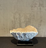 De appelgaard koraal op plateau beige