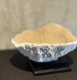 De appelgaard koraal op plateau beige