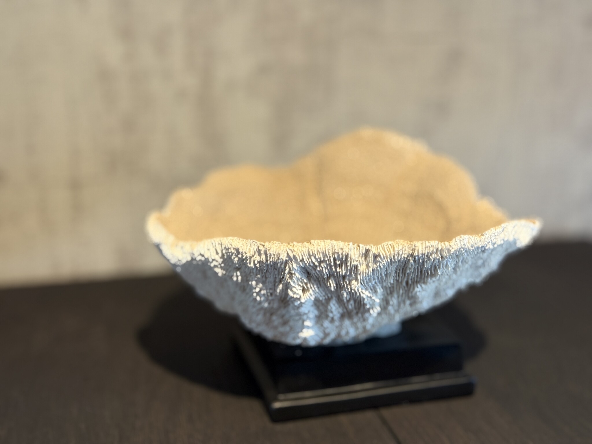 De appelgaard koraal op plateau beige