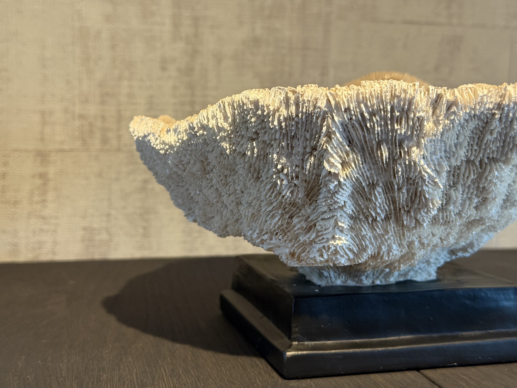 De appelgaard koraal op voet