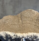 De appelgaard koraal op plateau beige