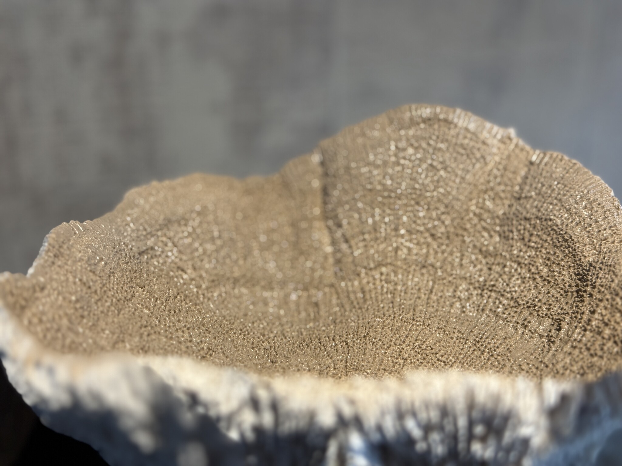 De appelgaard koraal op plateau beige