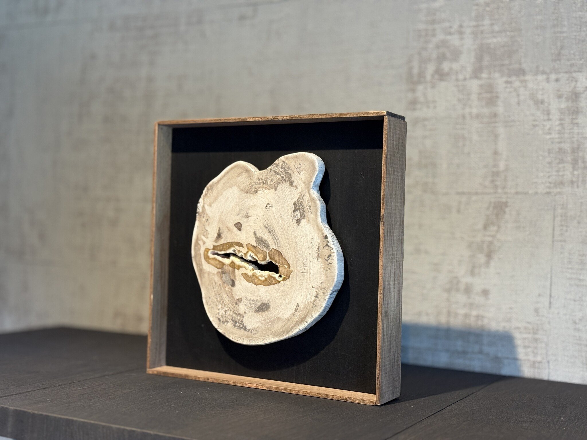 De appelgaard lijst met versteend hout klein