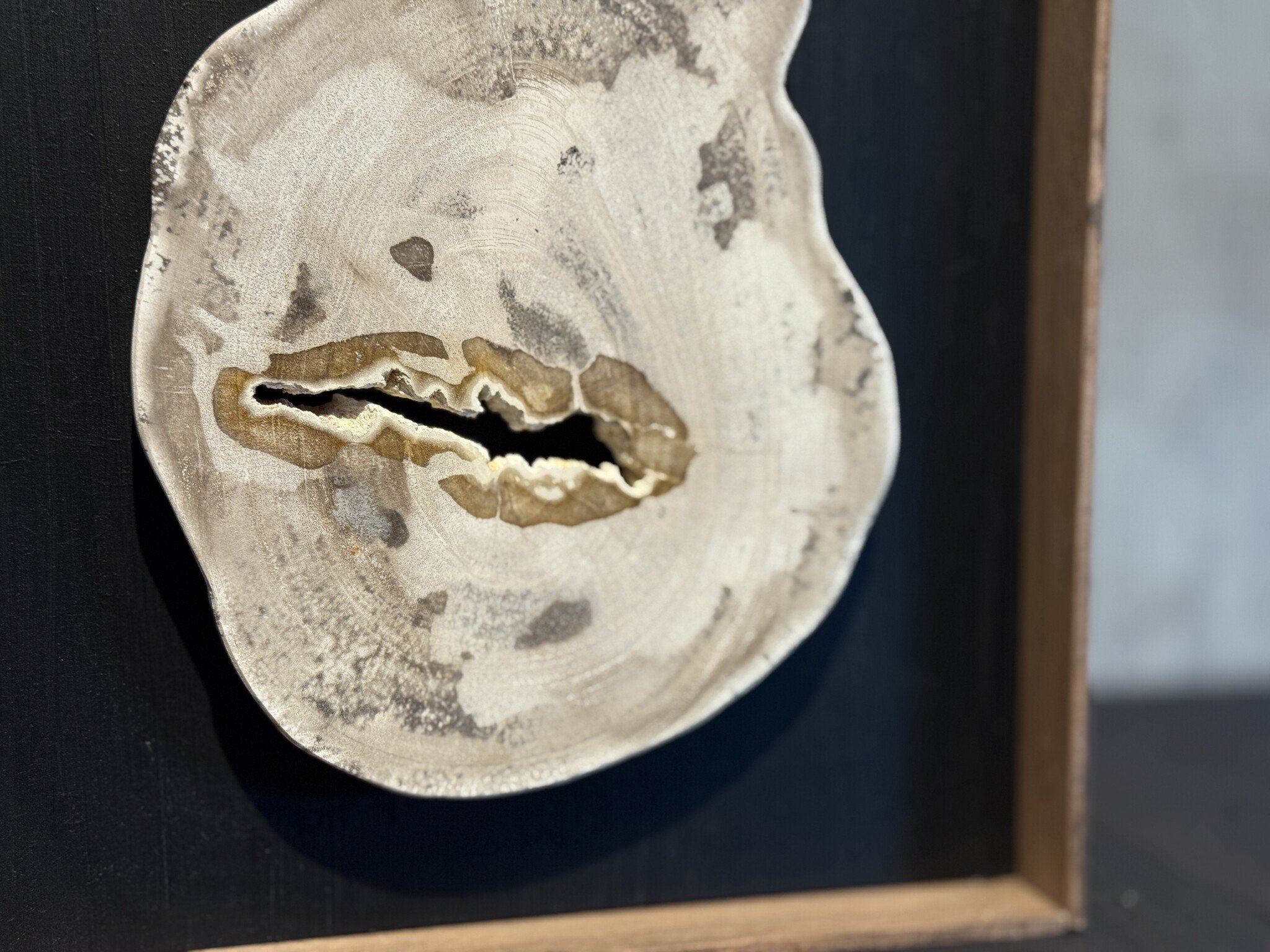 De appelgaard lijst met versteend hout klein