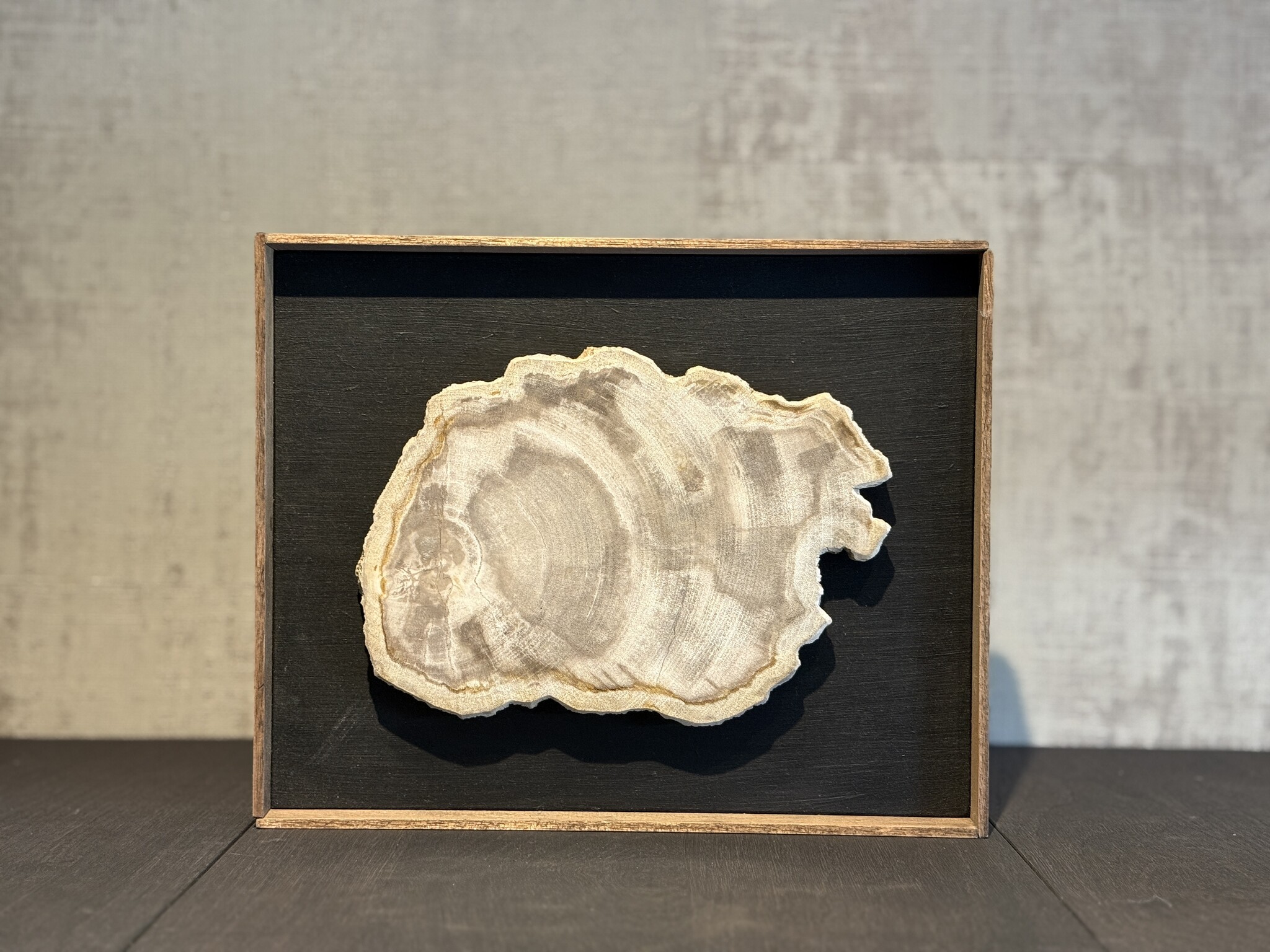 De appelgaard lijst met versteend hout groot