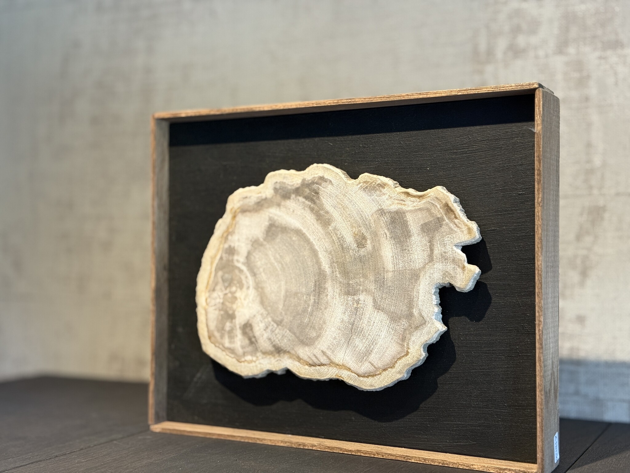 De appelgaard lijst met versteend hout groot