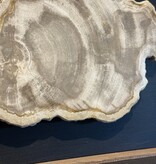 De appelgaard lijst met versteend hout groot