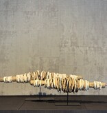 De appelgaard Schelpen standaard klein