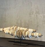 De appelgaard Schelpen standaard klein