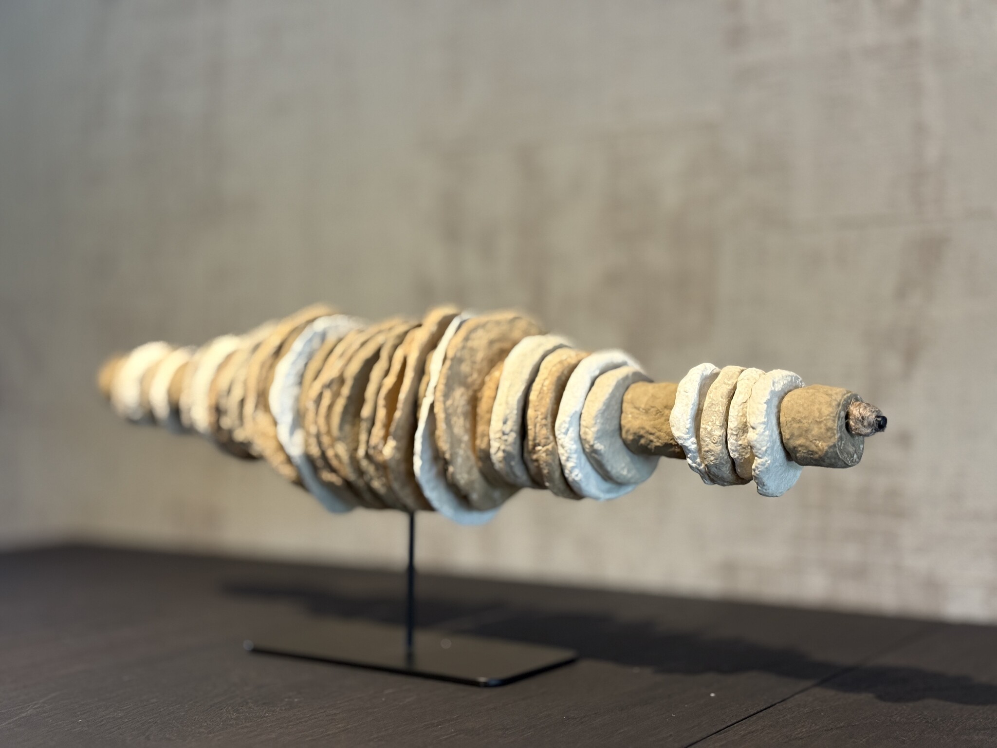 De appelgaard Schelpen standaard klein