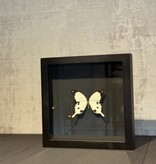 De appelgaard lijst met vlinder