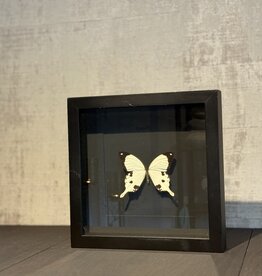 De appelgaard lijst met vlinder