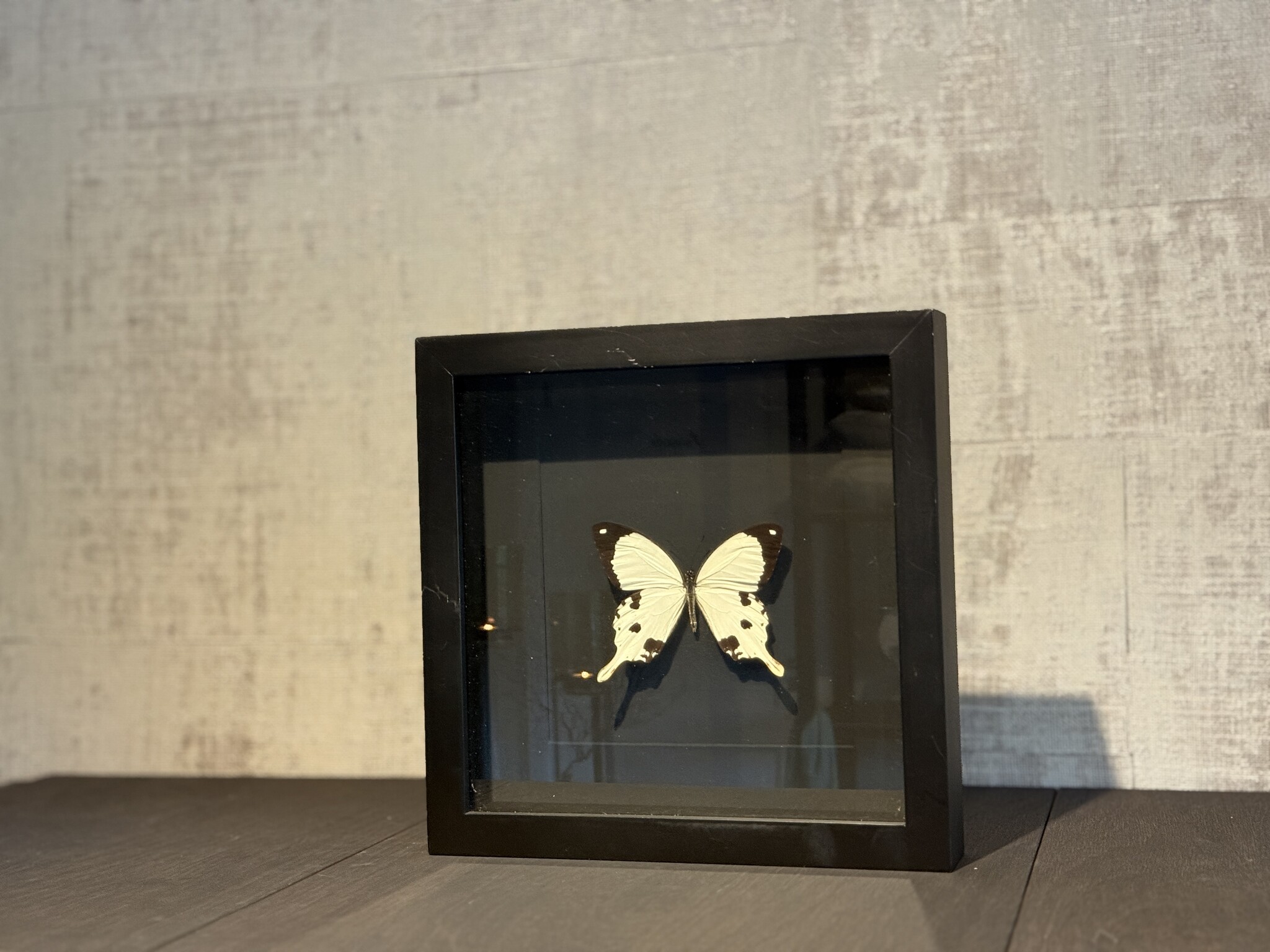 De appelgaard lijst met vlinder