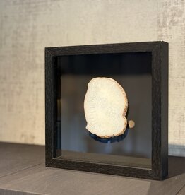 De appelgaard lijst met kristal wit