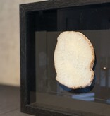 De appelgaard lijst met kristal wit