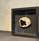 De appelgaard lijst met kristal zwart-wit